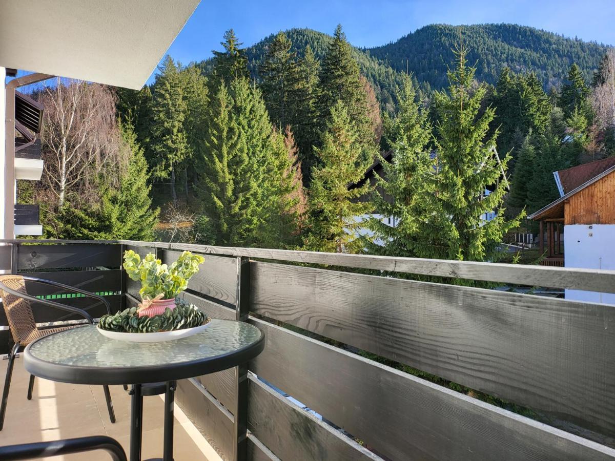 Dinvis Apartments Poiana Brasov Bagian luar foto
