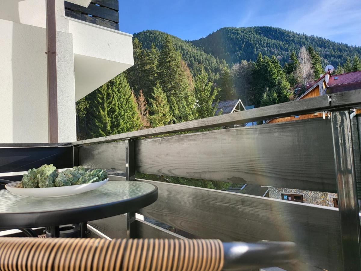 Dinvis Apartments Poiana Brasov Bagian luar foto